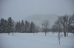 Falling snow, January 2013.