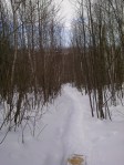 Going up the trail, February 2013.