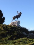 Newfoundland Memorial, March 2014.