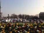 Paris Flowers, March 2014.