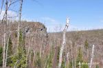 Looking west at the 400' trestle, May 2014.