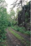 Gunflint Narrows Road, June 1998.