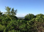 Highway 93 near Arcadia, WI, June 2016.