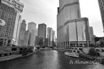 Chicago River, June 2016.
