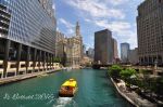 Chicago River, June 2016.