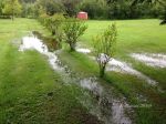 Backyard flooding, July 2016.